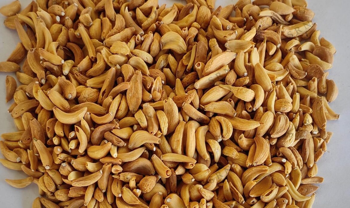 A Grade Dehydrated Garlic Flakes