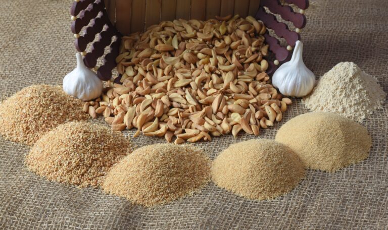 Premium Dehydrated Garlic Granules