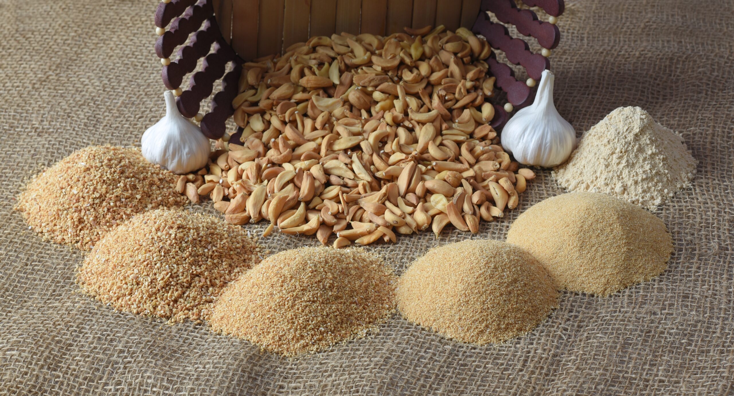 Dehydrated Garlic Granules
