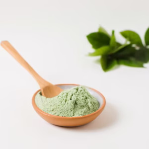 Dried Mint leaves Powder