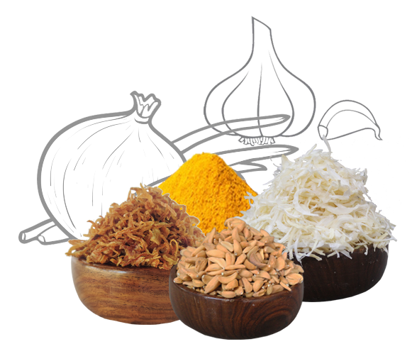 Mixed Spices Guide: Understanding Indian Masala Blends & Their Uses